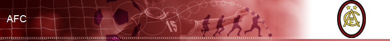 Georgia Soccer banner
